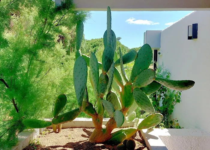 Dom wakacyjny V2 - Bungalow 12 *